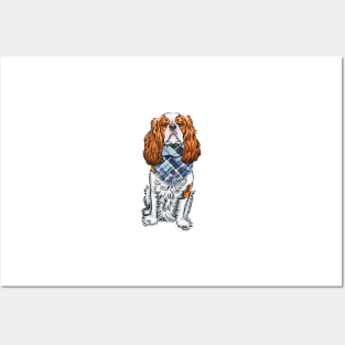 Cavalier King Charles Spaniel - Blenheim Scarf Posters and Art